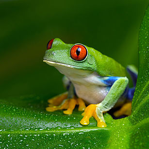 Druckerei Lippisches Blindenwerk Druckerei Lippisches Blindenwerk